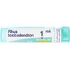 BOIRON Rhus tox boi*1000k gl 1g - BOIRON - 046506388
