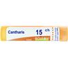 BOIRON Cantharis 15ch gr 4g - BOIRON - 800107930