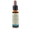 LABORATORIO ERBORISTICO DI LEO Fiori di bach 19 larch 10 ml di leo - LABORATORIO ERBORISTICO DI LEO - 910040322