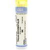 CEMON Thuya occident mk gr - CEMON - 800715827