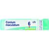 BOIRON Conium maculatum 6ch gr 4g - BOIRON - 800335275