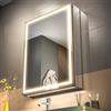 GANPE Specchio da bagno illuminato a LED con porta singola, defog, oscuramento continuo, memoria 3 colori, scaffali di archiviazione, prese e USB (50 x 70 cm)