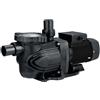 Blulab Pompa per Piscina filtrazione PATRIOT - da 1.5 a 3 HP