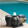 Gloobe Pompa per Piscina filtrazione POWERTECH mod. SMP - da 0,75 a 1.5 HP