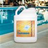 Carobbio Impermeabilizzante pavimento piscina CAROPROTECT