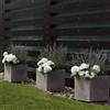 Arkema Design Vaso da giardino IRIS in polietilene by Arkema
