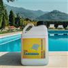 Carobbio Detergente Sgrassatore per Pavimenti Piscina CIBERMAC - Tanica 5 LT