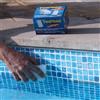 CPA Spugna magica piscina POOL'GOM - confezione da 3 pezzi - per materie plastiche
