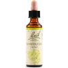 SCHWABE PHARMA ITALIA Honeysuckle bach orig 20 ml - SCHWABE PHARMA ITALIA - 942859277