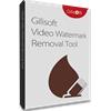 Gilisoft Video Watermark Eraser