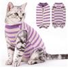 CITÉTOILE Body Gatto Postoperatorio Tuta di Recupero Antilamido Viola XS | Body Antilamido per Sterilizzazione e Ferite Addominali, Maglia Medica Traspirante, Sostituto del Collare Elisabettiano