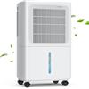 LEENON Deumidificatore Casa Muffa 12L/24h, Elettrico Deumidificatore Portatile con 3 Modalità, Silenzioso, Riavvio Automatico, Asciugatura Biancheria, Drenaggio Continuo, Timer, per Casa Bagno
