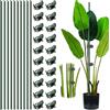CHONGQILAO Bastoncini di Supporto per Piante Rampicanti, 10 Pcs Bastoncini per Orchidee, 20 Pcs Clip per Piante, Pali di Sostegno per Piante da Interno ed Esterno, Tutori per Piante per Pomodori Cetrioli Fiori