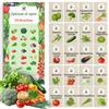 LW TORAF TORAF Set di Semi Orto 20 Varietà - Verdure Premium per Giardino, Balcone e Serra - Broccoli, Pomodoro, Cetriolo, Rucola, Lattuga, Cipolle, Peperoncino - Coltivazione Facile - Semi da Piantare
