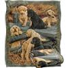 LOGOVISION Jq Licensing - Rle Labrador Pups Coperta super morbida al tatto setoso - 152 x 127 cm