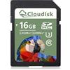 Cloudisk Scheda di memoria SDHC da 16 GB, UHS-I U3, classe 10, Full HD (16 GB)