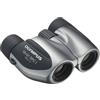 Olympus OM-SYSTEM OLYMPUS BINOCOLO 10X21 - DPC I - SILVER - BI102S