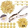 SODIAL 300 Fermacarte In da 3/4 Pollici Fermacarte e 300 Pezzi Rondelle In 4870