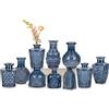 Oairse Set di 10 piccoli vasi di vetro decorativi vintage, decorazione floreale per centrotavola, decorazione di nozze, decorazione floreale, soggiorno, bagno, regalo per la festa della mamma, blu