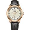 Citizen Orologio Uomo Citizen OF Day Date AW0153-04A