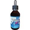 SYGNUM srl BERBERIS GOCCE 100ML