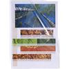 Exacompta 56111E Buste, 34 x 25.50 x 3.50 cm, Cristal