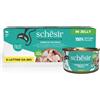 Schesir Cat Lattina in Gelatina Multipack 6x85G TONNETTO CON ORATA