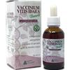 ALCHIMIA BENOIT Vaccinium vitis idaea gemmoderivato 50 ml - ALCHIMIA BENOIT - 976838072