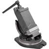 vidaXL Morsa Inclinabile a 2 Assi 100 mm