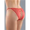 Allure Crotchless Enchanted Belle Panty Red