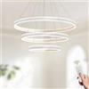 LAMPLAY Lampada A Sospensione Moderna A LED Rotonda, 3 Lampadario Ad Anello Bianco, Dimmerabile Con Telecomando 3000K-6000K Lampada Da Soffitto, Altezza Regolabile, Camera Da Letto(Ø20+40+60cm)