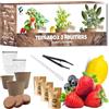 NOPALIA Kit Mini Frutta Pronto a Crescere - Fragola, Mirtillo & Mini Limone - Semi Bio - Regalo Insolito DIY - Giardino Interni ed Esterni - Decorazione Ecologica - Made in France