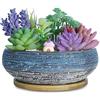 ARTKETTY Vaso per Piante Grasse, Vaso Bonsai in Ceramica con Vassoio di Drenaggio Grande Contenitore per Piante Cactus e Fiori