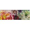 Wash+Dry tappeto Colour Blast 60x180cm, adatto per interni ed esterni, lavabile
