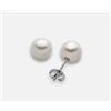Mikiko - Orecchini in Perla 18K Bianco Light FW TR 5,5-6 M.GTR55
