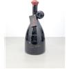 Amarone Iseldo Maule 1987 Magnum Recioto Valpolicella Gambellara 1,5 litri 14%