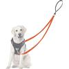 Adiwo 2M Guinzaglio per Cani, Riflettente, Lunghina Da Cane in Nylon, Guinzaglio Doppio Freestyle per Cani Di Piccola e Media Taglia, Cane Resistente e Anti-sporco（Arancione）