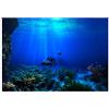 Zerodis Sfondo Acquario 3D, Adesivo Biadesivo Poster Decorazioni per Vasche Pesci (61 x 30 cm)