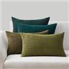 Topfinel Federe de Cuscini 30x50 in Velluto a Coste per Divano Verde Copricuscini Quadrati Elegante Decorativa per Salotto Moderno Cuscino Cerniera Invisibile per Camera da Letto Set 4 Pezzi