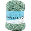 Lion Brand Yarn Pima Cotton Yarn, Patagonia, 1 matassa