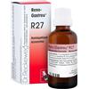 Reckeweg reno-gastreu R27 Gocce Omeopatiche 22ml