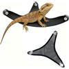 Colenumone 2-pack barba drago amaca, rettile amaca, adatto per iguane, camaleonti, gechi, lucertole, serpenti, camaleonti, rettili, serbatoio axolotl.