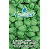 acquaverde Semi Di Basilico Aromatico Ligure Per Orto In Bustina