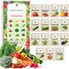 LW TORAF TORAF Set di Semi Orto 15 Varietà - Verdure Premium per Giardino, Balcone e Serra - Pomodoro, Carota, Peperone, Cetriolo, Zucchina, Broccolo, Porro, Rucola - Coltivazione Facile - Semi da Piantare