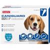 Beaphar CaniGuard Duo Antiparassitario per cani contro Pulci zecche e Zanzare