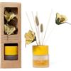 MERCURY Profumo Ambiente Vaniglia 100 ml con Diffusore a Bastoncini e Fiore Decorativo