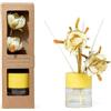 MERCURY Profumo Ambiente Fiore di Lime 100 ml con Diffusore a Bastoncini e Fiori Decorativi
