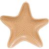 EASY LIFE Ciotola in Porcellana 20x18,5cm Stella Marina Coquillages Senape