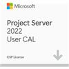 Microsoft Project Server 2022 User CAL