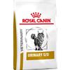 Royal Canin Urinary S/O Gatto Kg 7